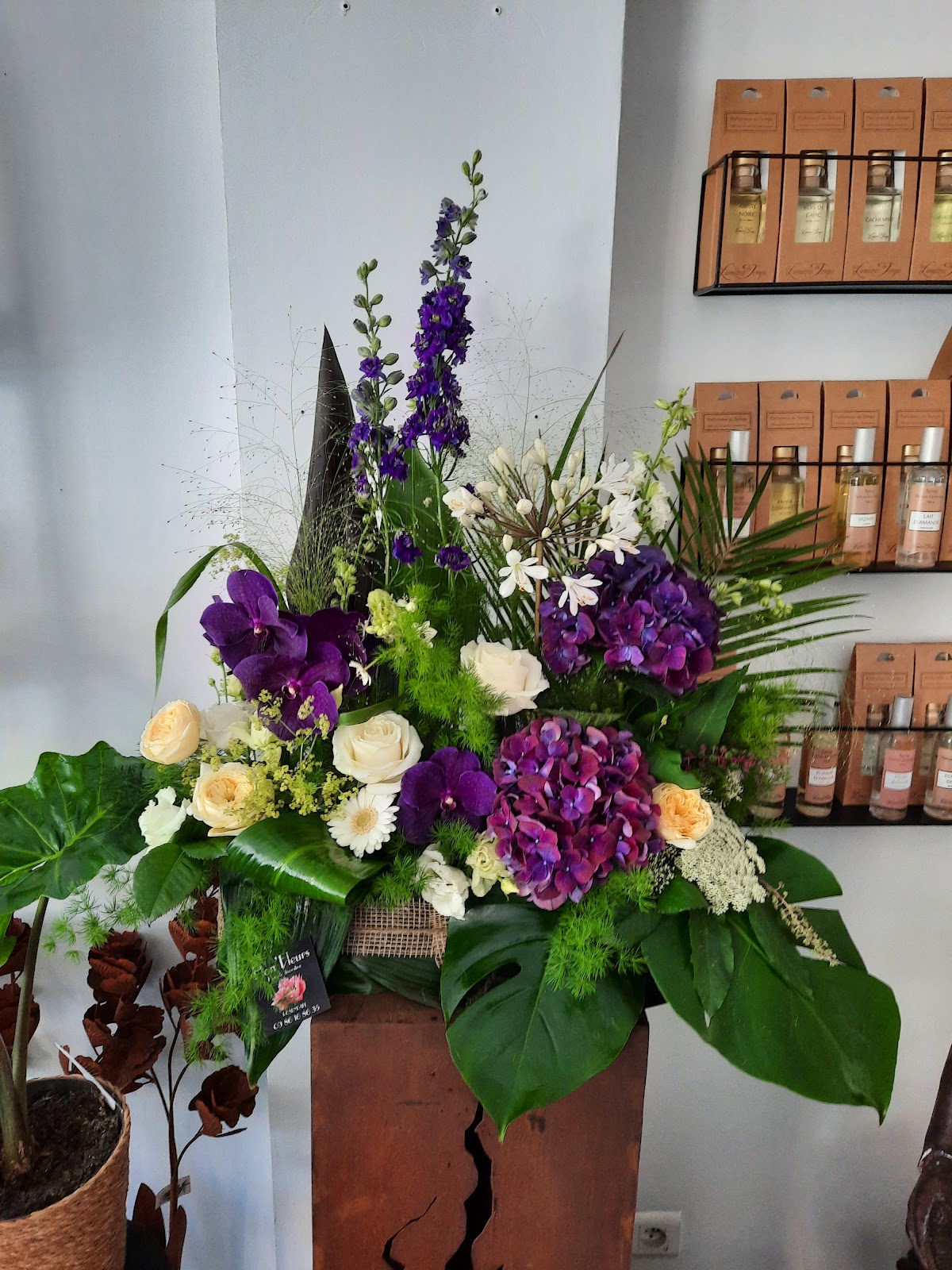 Hon 'Fleurs - photo 3